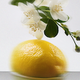 Lemon Myrtle Leaf Extract