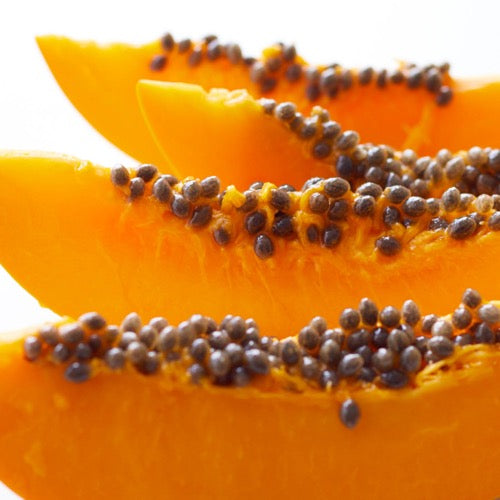 Papaya Extract