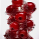 Cranberry Fruit Water